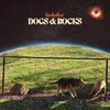 Dogs &amp; Rocks