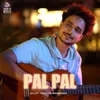 About Pal Pal Song