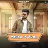 About Mera Pagal Song