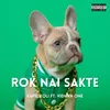 About Rok Nai Sakte Song