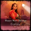 About Haaye Marr Jayenge (Reprised) Song