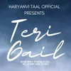 About Teri Gail Song