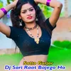 About DJ Sari Raat Bajego Ho Song