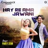 About Hay Re Ama Jawani Song