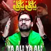 About Ya Ali Ya Ali Song