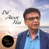 About Dil Atoot Hai Song