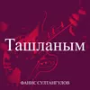 About Ташланым Song