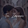 About Tu Zaroori Song