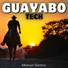 About Guayabo Tech Song