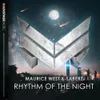 About Rhythm Of The Night Song