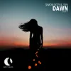 About Dawn Song