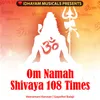 OM NAMAH SHIVAYA 108 TIMES