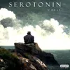 About Serotonin Song