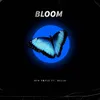 About Bloom Song