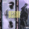 About Destiny Song