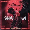 About Shaitaan Song