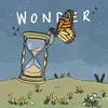 Wonder