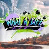 About What A Life Song