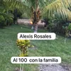 Al 100 con la familia