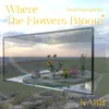 Where the Flowers Bloom (Feat. punchnello)