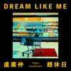 About DREAM LIKE ME Song
