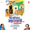 About Shri Shanidev Amritwani Song