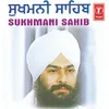 About Sukhmani (Punjabi Path) Song