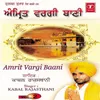 Amrit Vargi Baani