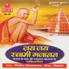 About Aisi Bhakti Hame Dena Swami Song
