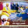 AISI PREET KAROH MAN MERE  (VOL.2)