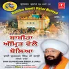 About Babiha Amrit Vele Boleya-Vyakhya Sahit Song