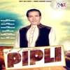 About Pipli Song