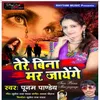 About Tere Bina Mar Jayege Song