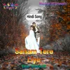 About Sanam Tere Liye Song