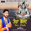 About Tera Bhola Song