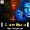 About Om Namah Shivaya Song