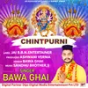 About Chintapurani Song