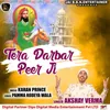 About Tera Darbar Peer Ji Song