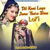 About Dil Koni Lage Janu Thare Bina- Lofi Song
