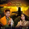 About Namo Namah Shivaya Song