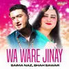 About Wa Ware Jinay Song