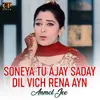 Soneya Tu Ajay Saday Dil Vich Rena Ayn