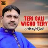 About Teri Gali Wicho Tery Song