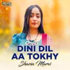 Dini Dil Aa Tokhy