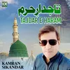 Tajdar E Haram