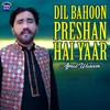 About Dil Bahoon Preshan Hai Yaar Song