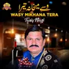 About Wasy Mikhana Tera Song