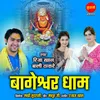 About Bageshwar Dham Song