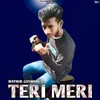 About Teri Meri Song