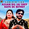 About Assan Dil Jai Shey Haye De Bethey Song